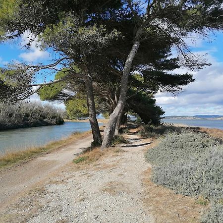 Entre Mer Et Roseaux - Piscine - Proche Centre Et Mer - Petfriendly Port-la-Nouvelle Esterno foto