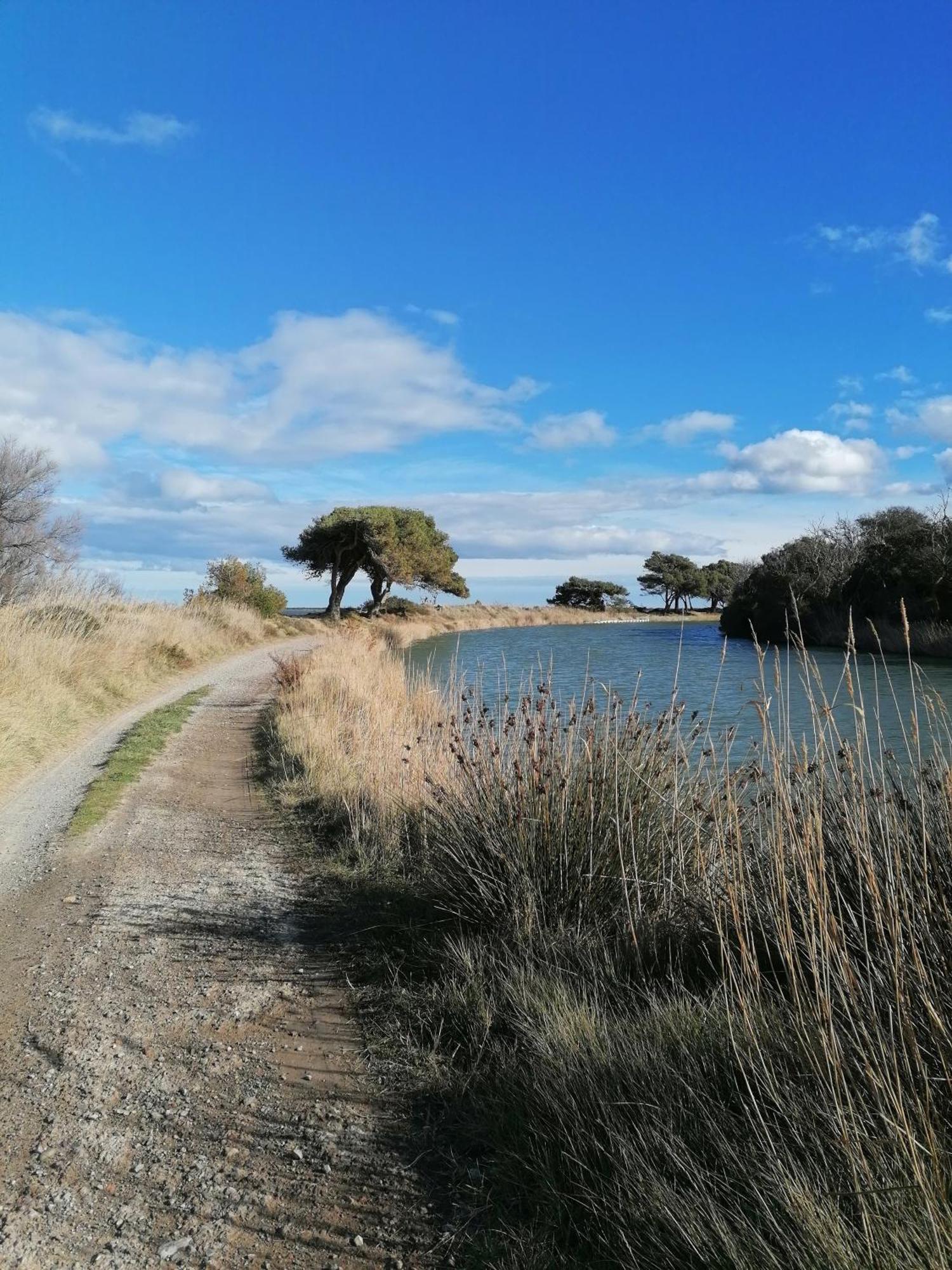 Entre Mer Et Roseaux - Piscine - Proche Centre Et Mer - Petfriendly Port-la-Nouvelle Esterno foto